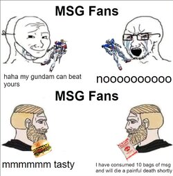 Msg.jpg