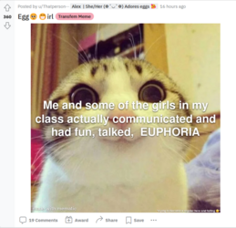 Screenshot 2023-02-04 061026.png