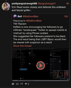 Search (Erin Reed)  nitter 3.png