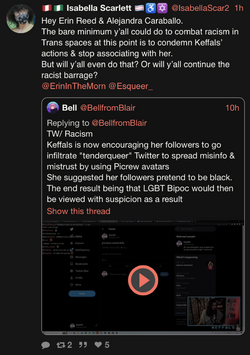 Search (Erin Reed)  nitter.png