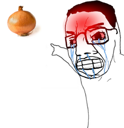 onionchud.png