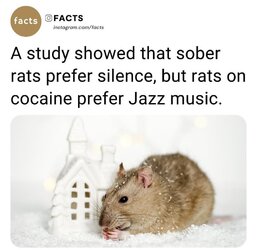 Jazz.jpg