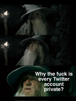 Twitter.jpeg
