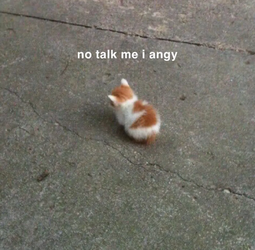 angy.png