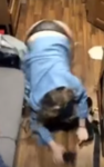 Capture.PNG