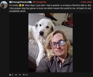 incel-3.png