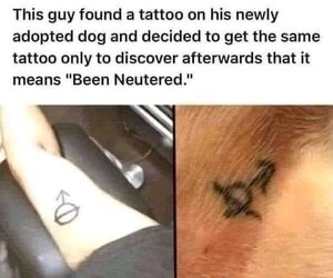 Neutered.jpg