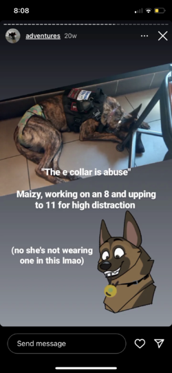 ecollar mazikeen.PNG