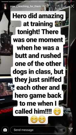 hero snap.jpg