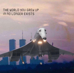 twyguinle.png
