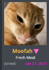 1675610158491.png
