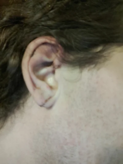 1675646578027.png