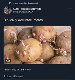 0FFBB6F5-AF74-4BE6-B80D-12030BAD7497.jpeg