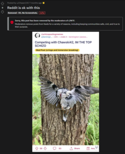 1675663632818.png