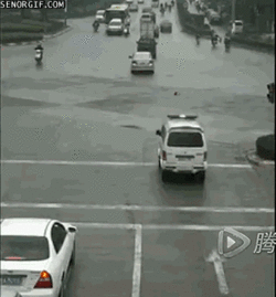 A5A77CEF-A673-43F0-9FC4-4AF737EC3EC7.gif