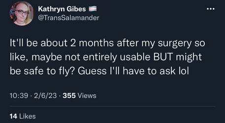 The Flying Amhole.png