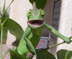 surprised10.jpg