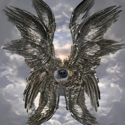 1675812661782.png