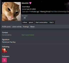 Flams number one guy.png