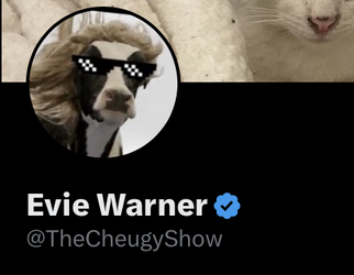 Evie Warner (@TheCheugyShow)  Twitter.png