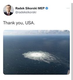 Foda_MSXEBo8pnk.jpg
