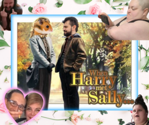harry sally.png