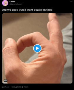 1675929366490.png