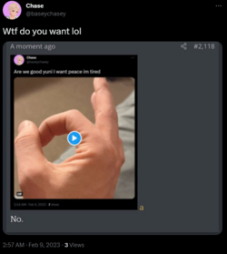 1675929529921.png