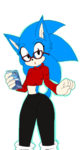 why.png
