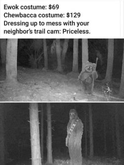 Cam.jpg