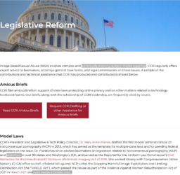 Screenshot 2023-02-11 at 02-15-09 Legislative Reform - Cyber Civil Rights Initiative.png