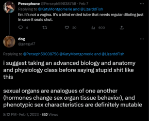not a vagina.PNG