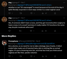 not a vagina 2.PNG not a vagina 2.PNG