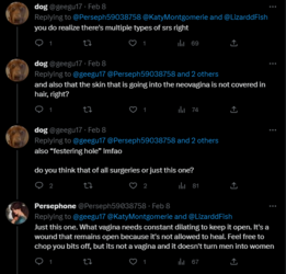 not a vagina 3.PNG