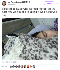 1676146568838.png