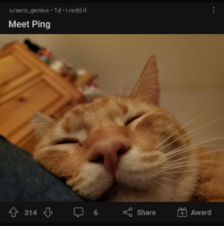Screenshot_20230211-153437.png
