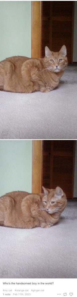 41FDED01-1004-42F1-BA38-3F210606501A.png
