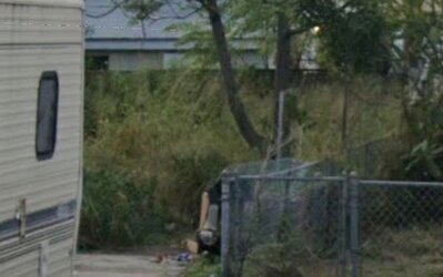 11-2021 back yard.JPG