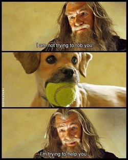 gandalf and dog.png
