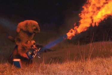 giphy (1).gif