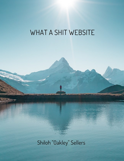 1676247593714.png