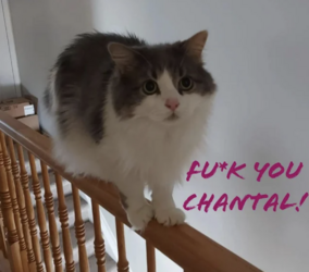 F U CHANTAL.png