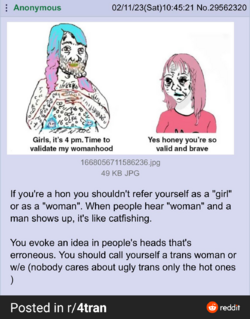 RDT_20230212_2111073216574289335853675.png