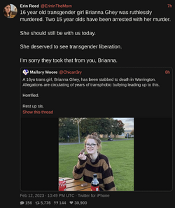 ErinInTheMorn-1624903502320345088.png
