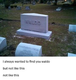 Waldo.jpg