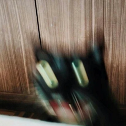 1648335328503.png