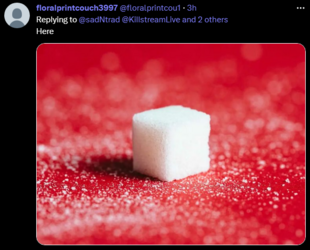 1676293205066.png
