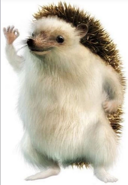 rrrlti.png