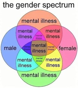 lol gender.jpg