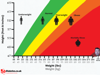 fatgraph - Copy.png
